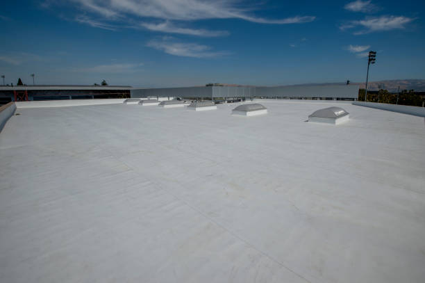 Best Roof Leak Repair  in Ross, CA