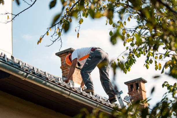Best Roof Insulation Installation  in Ross, CA