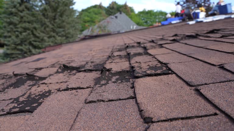 Best Roof Ventilation Installation  in Ross, CA