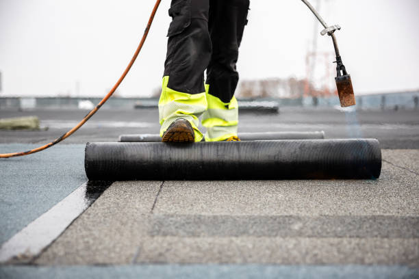 Best Sheet Metal Roofing  in Ross, CA
