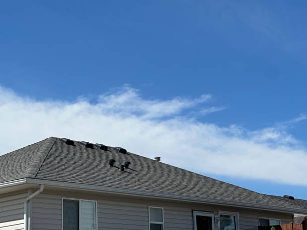 Best Roof Moss and Algae Removal  in Ross, CA